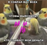 Попугай.png